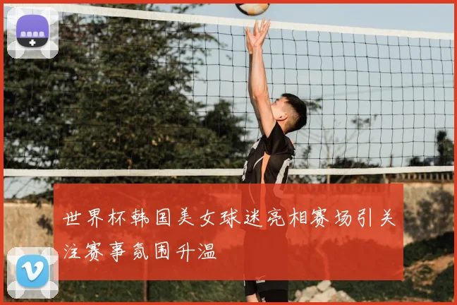 世界杯韩国美女球迷亮相赛场引关注赛事氛围升温