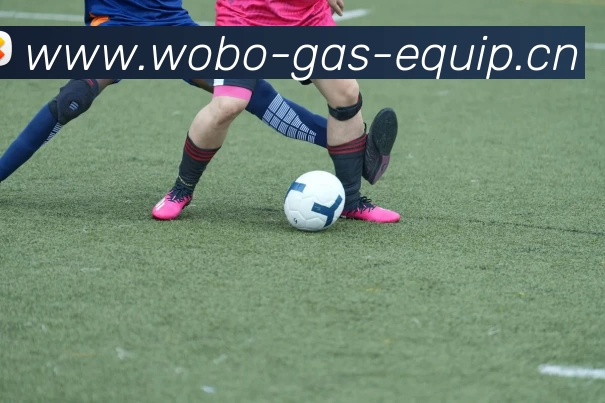 2018世界杯官网平台生态图